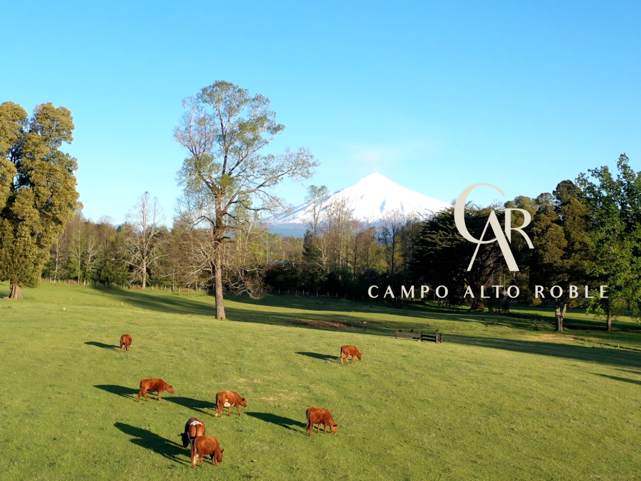 Parcelas Campo Alto Roble Villarrica