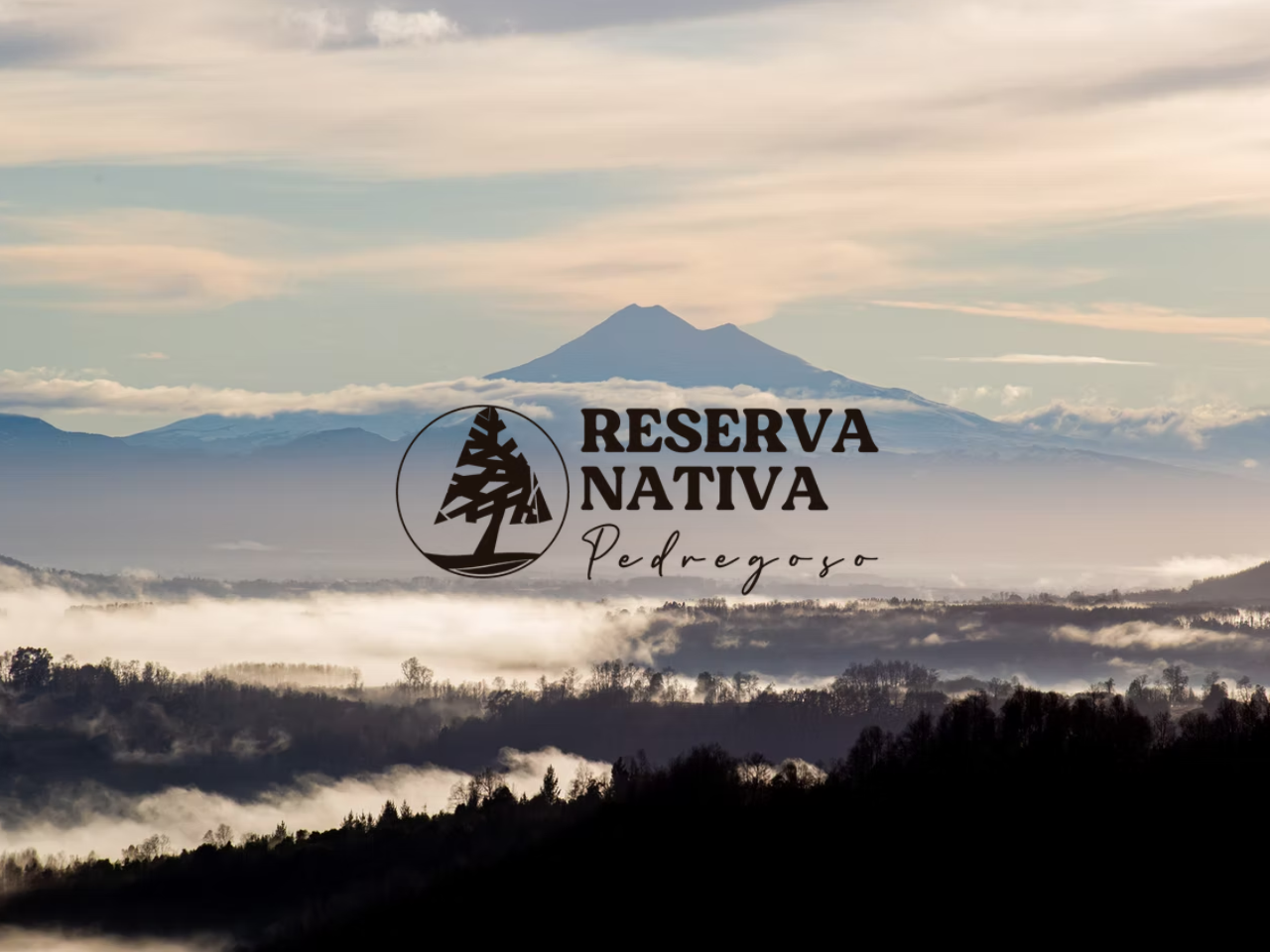 Parcelas Reserva Nativa Pedregoso