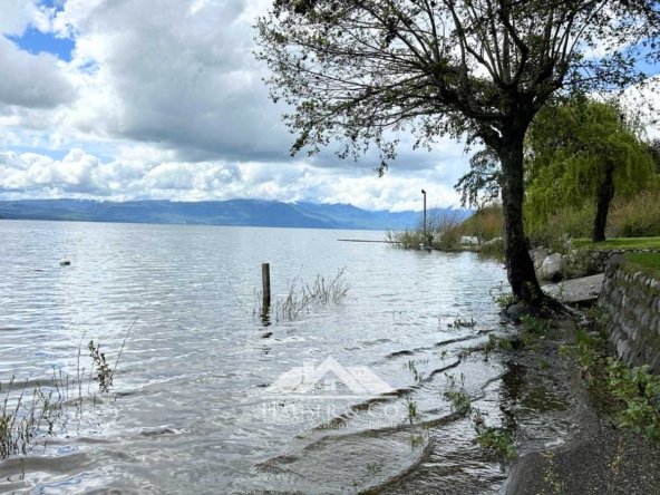 casa-arriendo-temporal-lago-villarrica-052