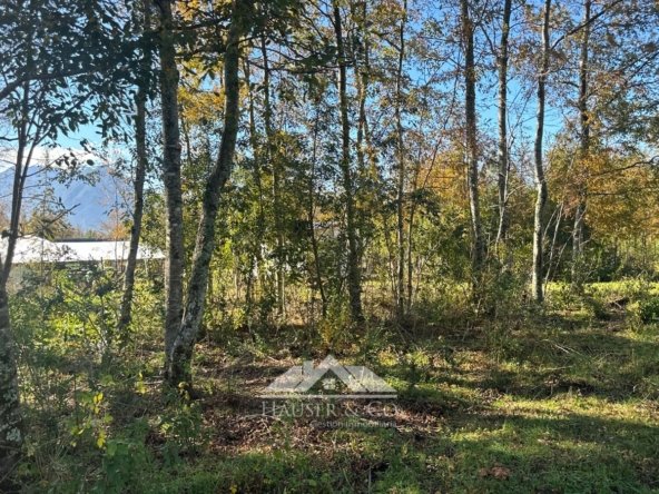 parcela-venta-pucon-029