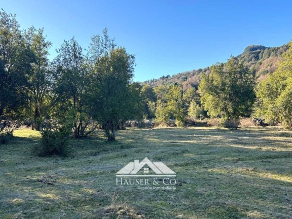 venta-parcela-curarrehue-pucon-058