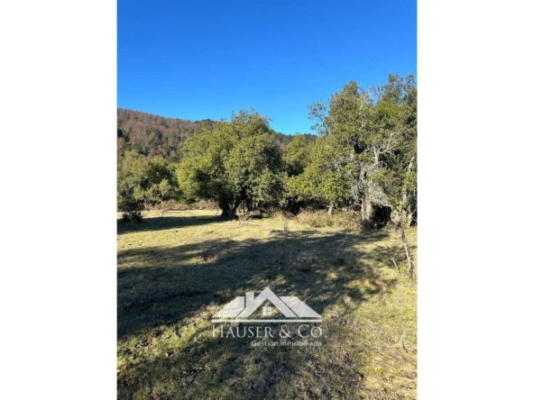 venta-parcela-curarrehue-pucon-061