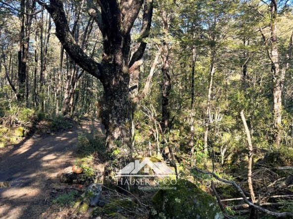 venta-parcela-curarrehue-pucon-066