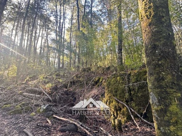 venta-parcela-curarrehue-pucon-067