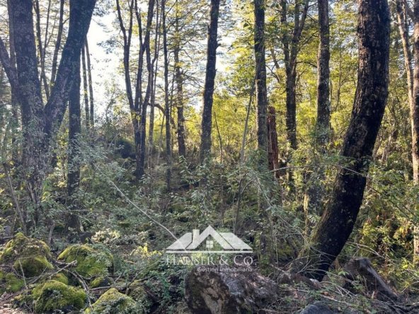 venta-parcela-curarrehue-pucon-069