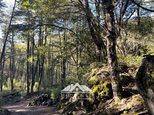 venta-parcela-curarrehue-pucon-070