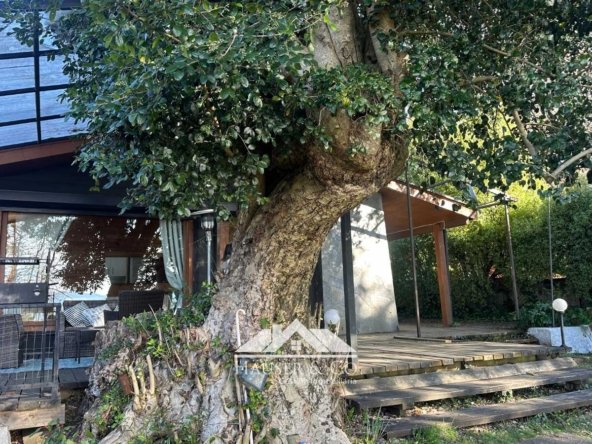 casa-orilla-lago-pucon-003
