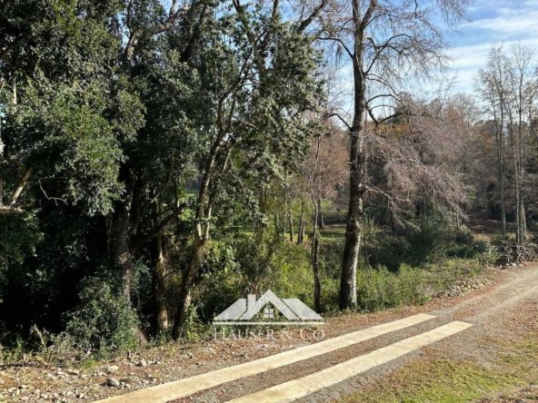 casa-sustentable-vista-lago-pucon-villarrica-054