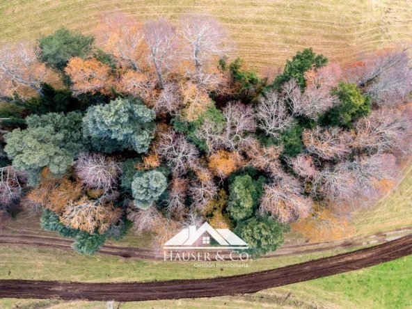 parcelas-venta-villarrica-alta-terra-012