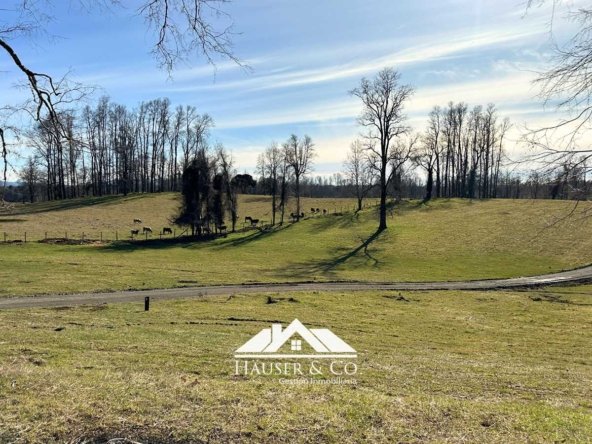 parcelas-venta-villarrica-alta-terra-020