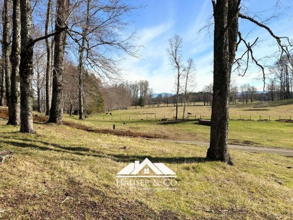 parcelas-venta-villarrica-alta-terra-021