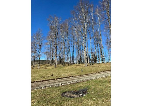 parcelas-venta-villarrica-alta-terra-027