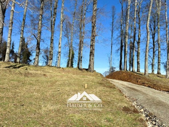 parcelas-venta-villarrica-alta-terra-028