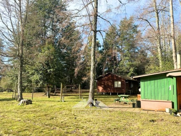 tiny-house-cabana-arriendo-villarrica-pucon-003