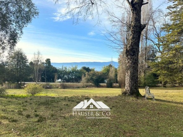 tiny-house-cabana-arriendo-villarrica-pucon-004