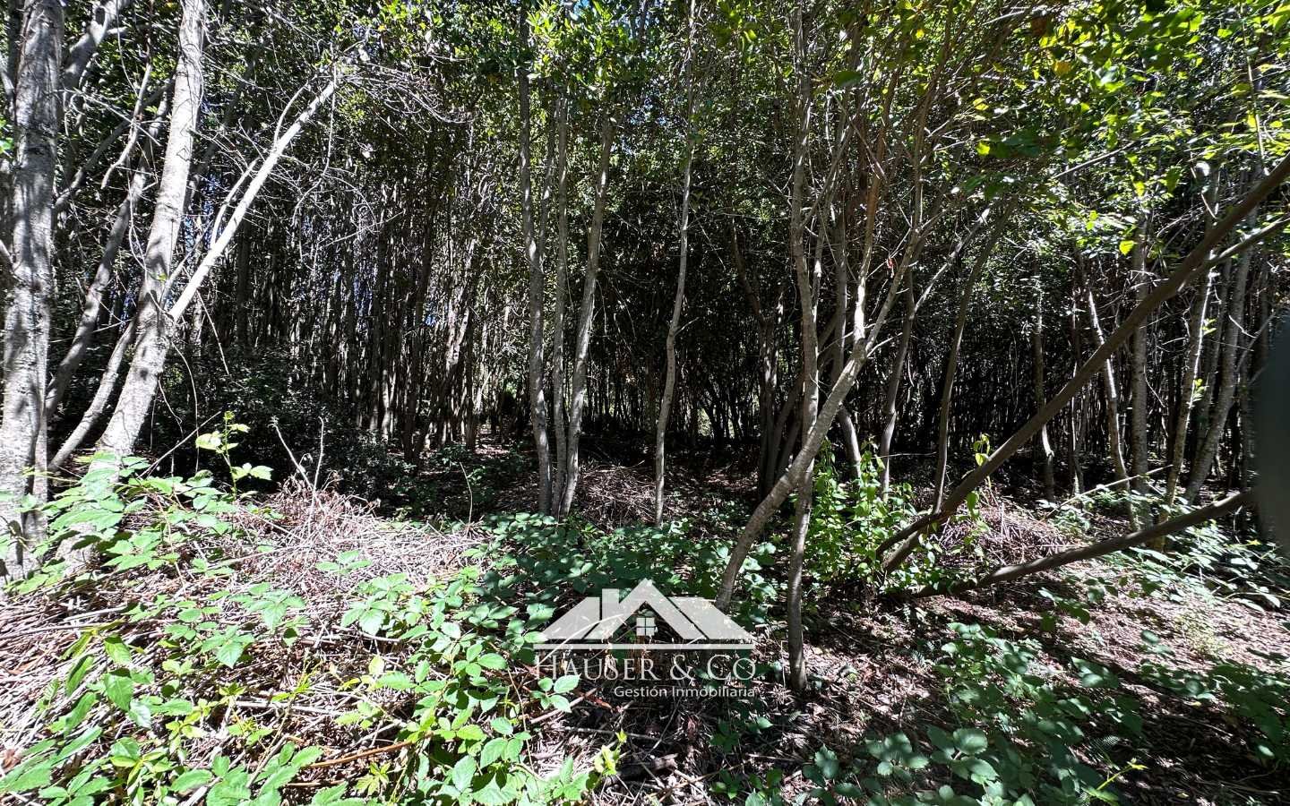 parcela-en-venta-villarrica-pucon-095