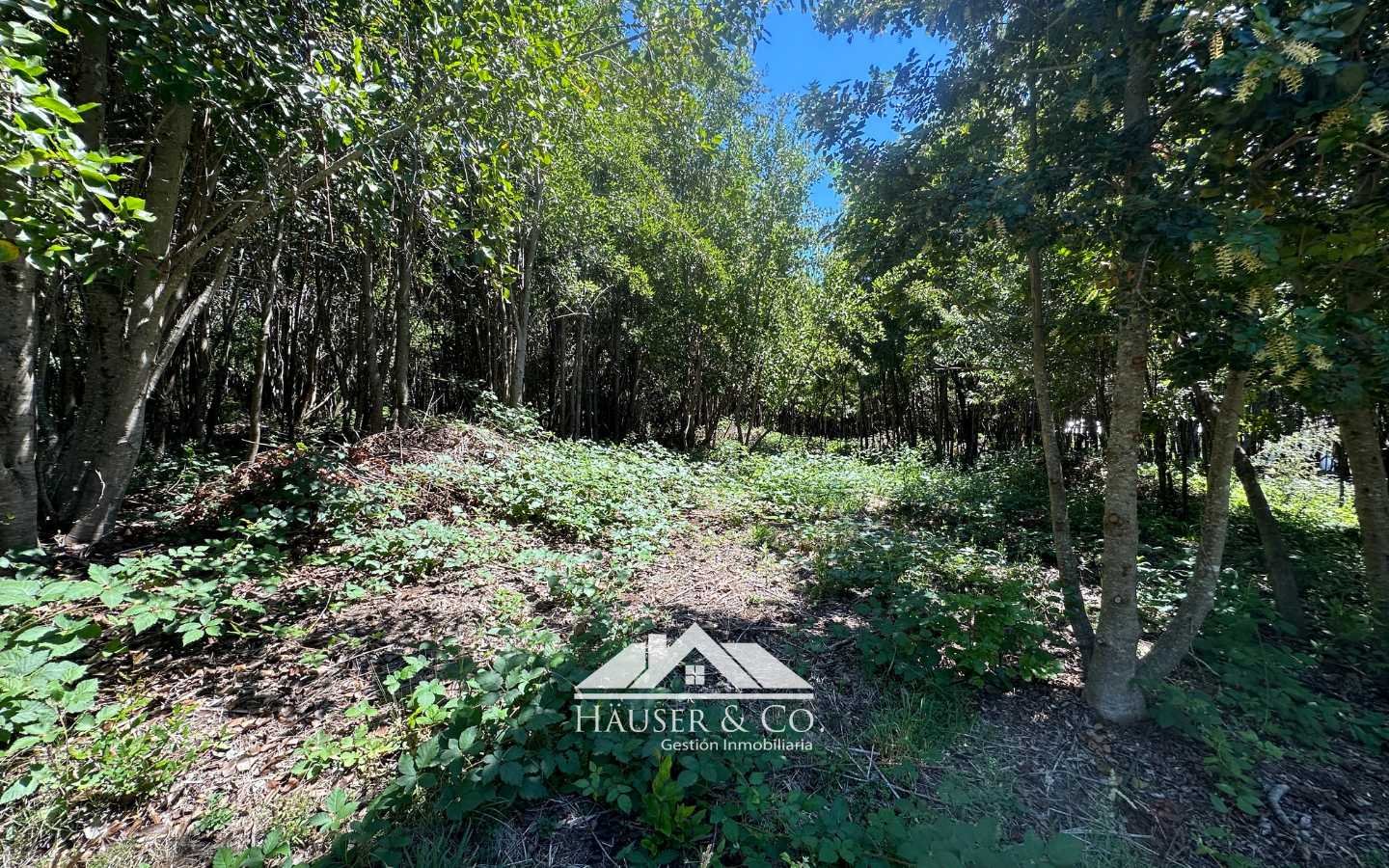 parcela-en-venta-villarrica-pucon-096