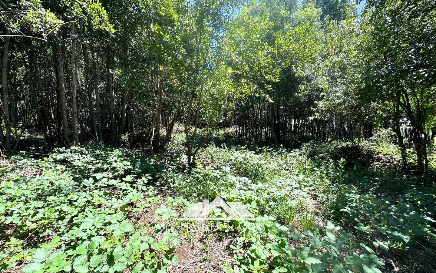 parcela-en-venta-villarrica-pucon-097