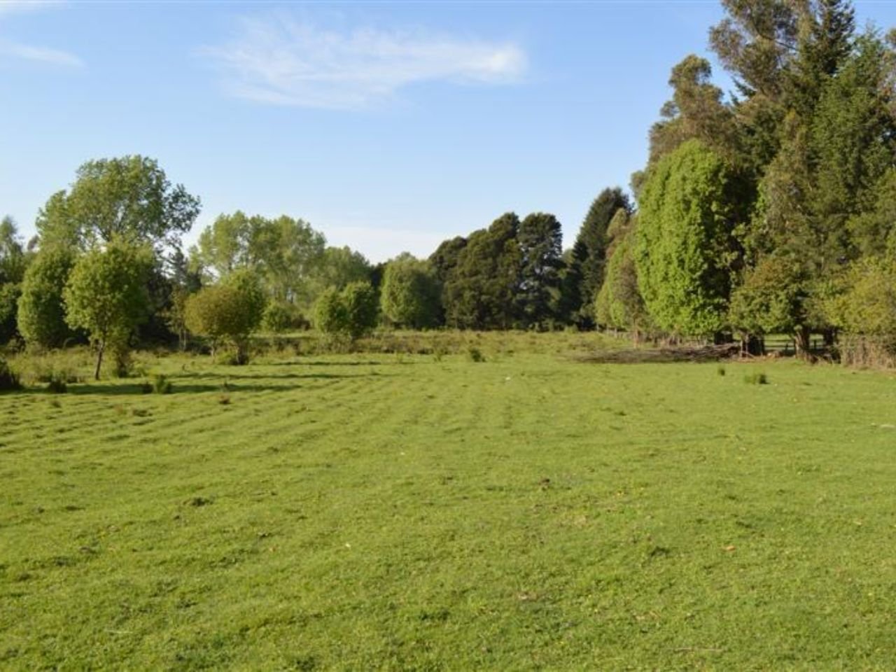 terreno en venta villarrica