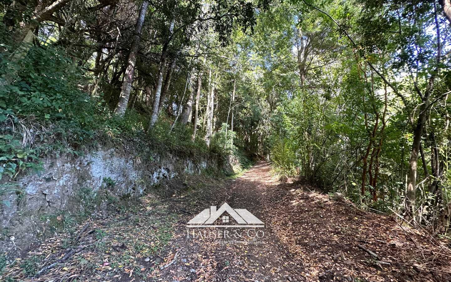 terreno-en-venta-villarrica-085