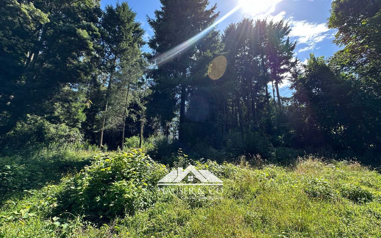 terreno-en-venta-villarrica-086