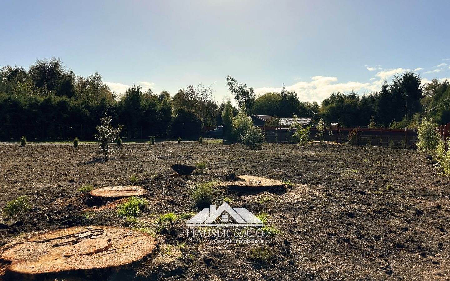 casa-arriendo-villarrica-pucon-036