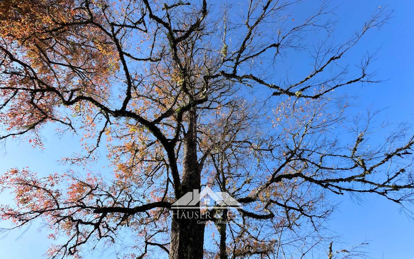 venta-parcela-villarrica-008