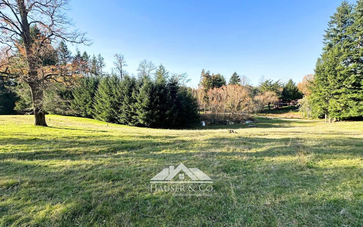venta-parcela-villarrica-014