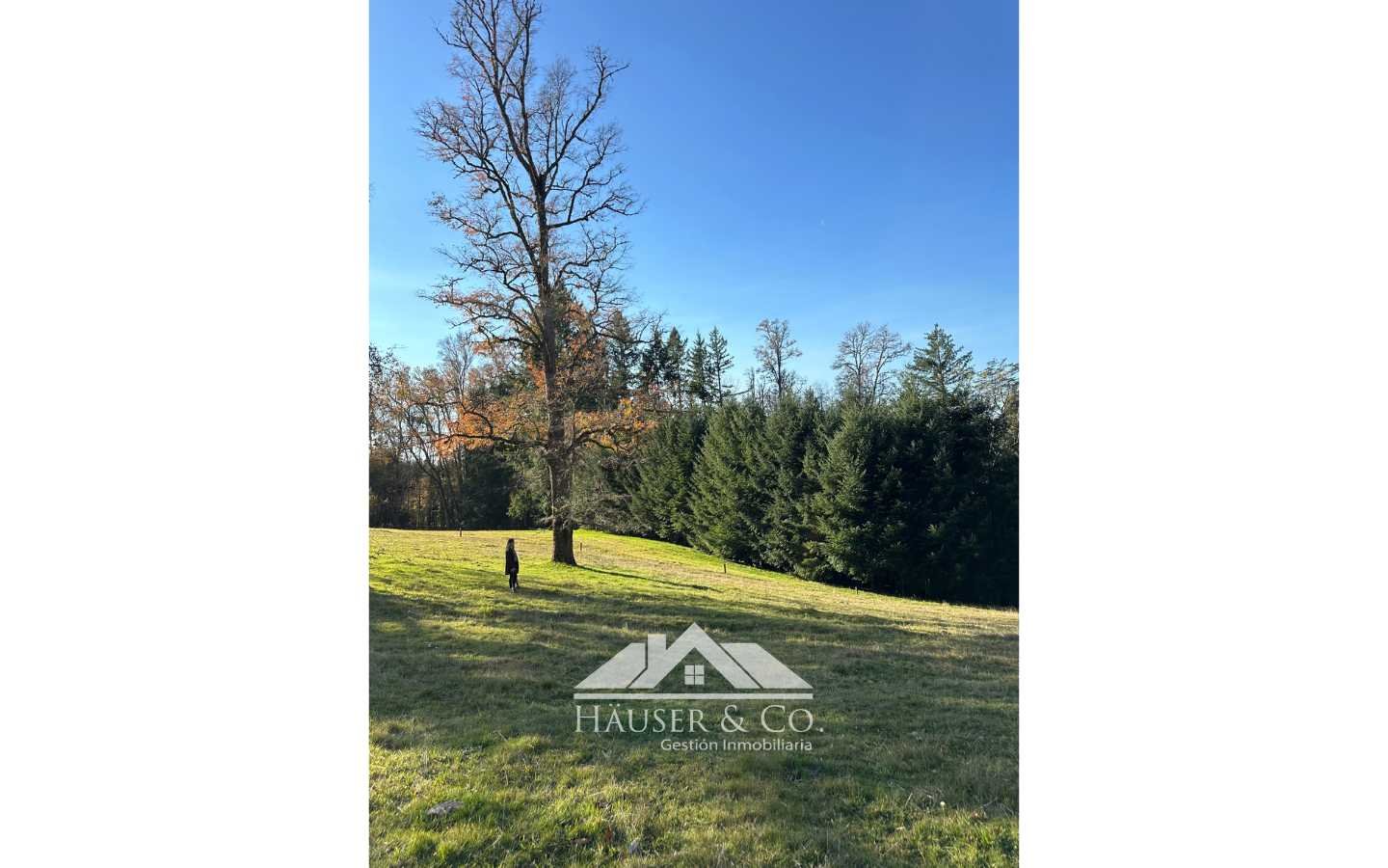 venta-parcela-villarrica-016