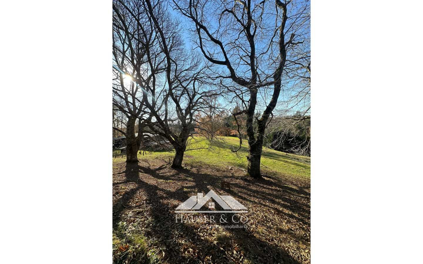 venta-parcela-villarrica-024