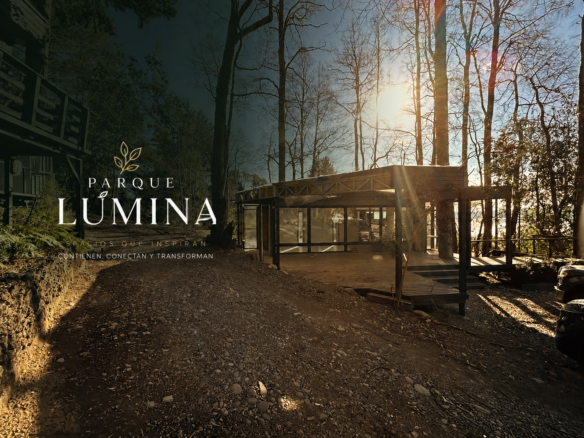 Locales comerciales en arriendo: Parque Lúmina