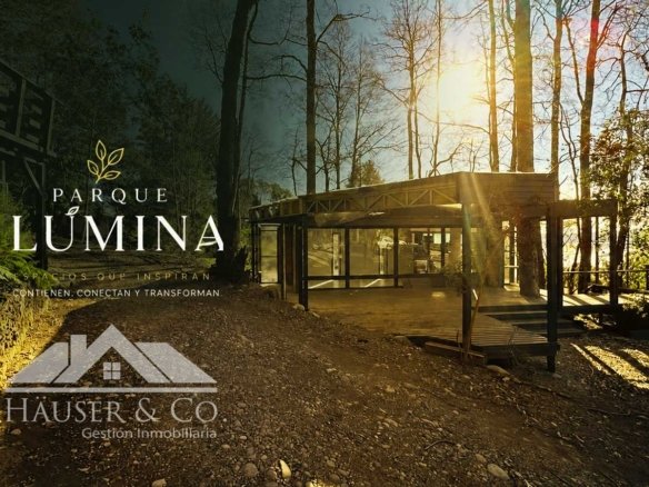 Locales comerciales en arriendo: Parque Lúmina