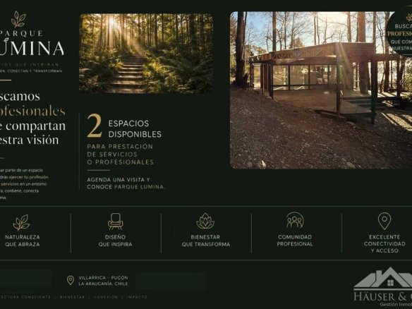 Locales comerciales en arriendo: Parque Lúmina